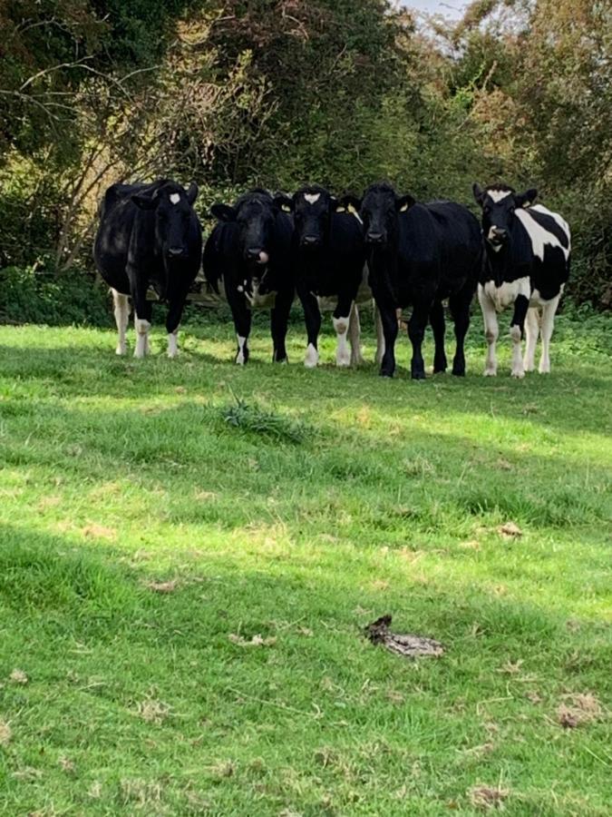 Church Farm, Legbourne Louth 외부 사진